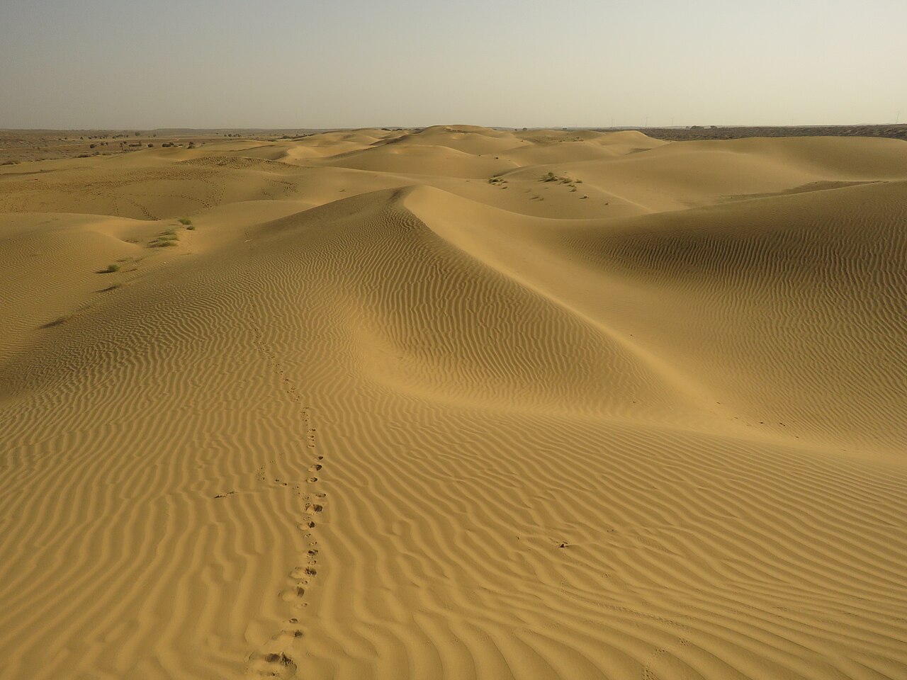 Thar Desert landscape near Akal Wood Fossil Park