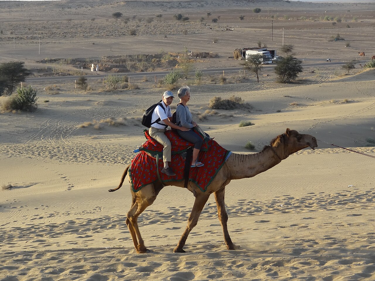 Camel safari across the Thar Desert sand dunes