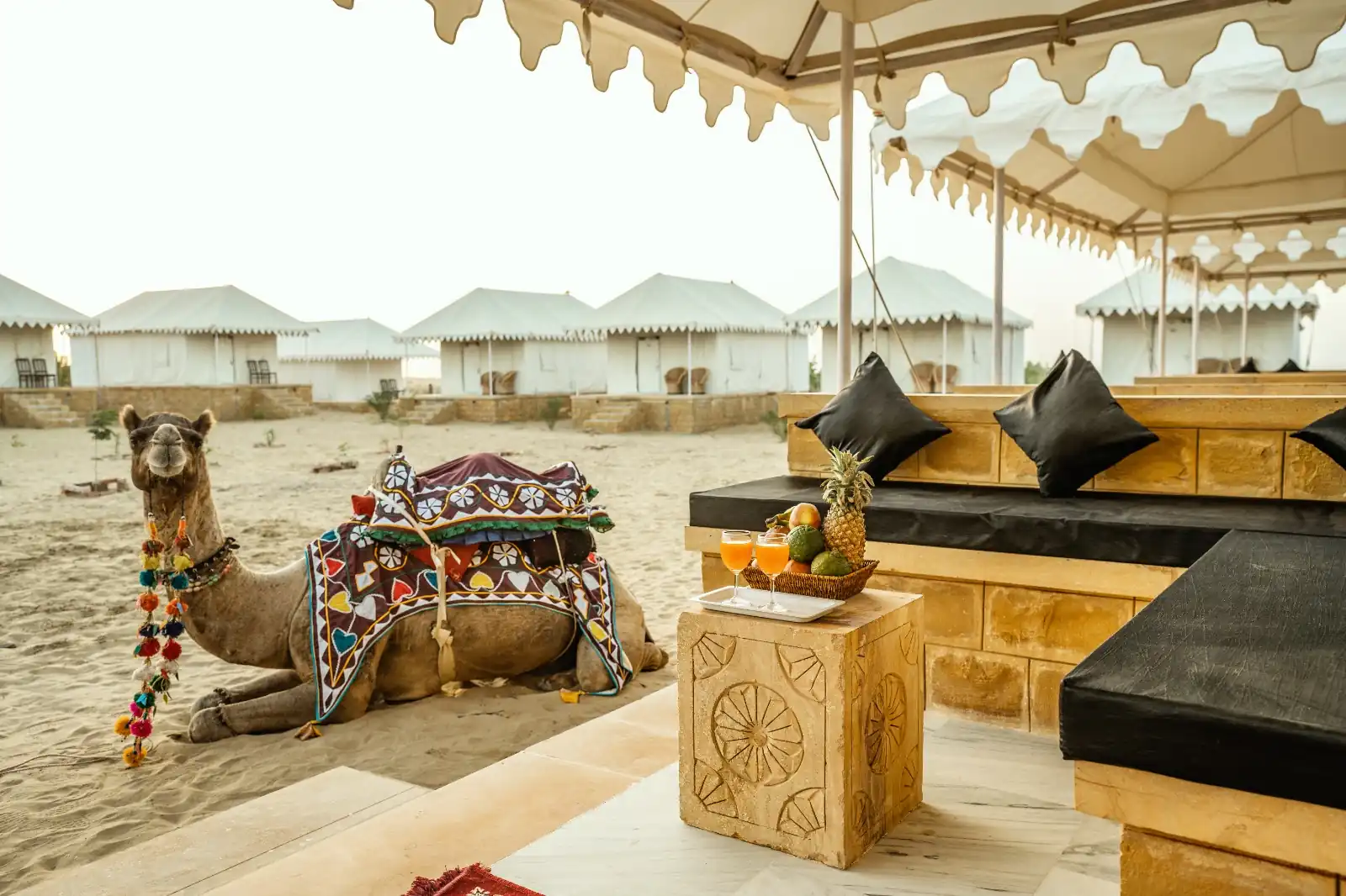Camel resting beside a private sit-out area at the desert camp