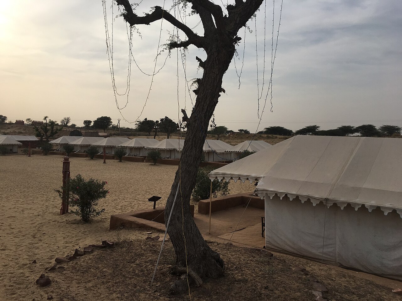 Desert camp under the night sky in the Thar Desert